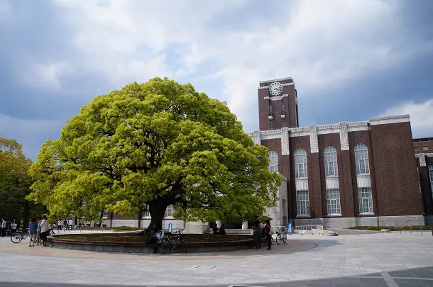 A Universidade de Quito se destaca como uma das 40 melhores universidade do mundo.