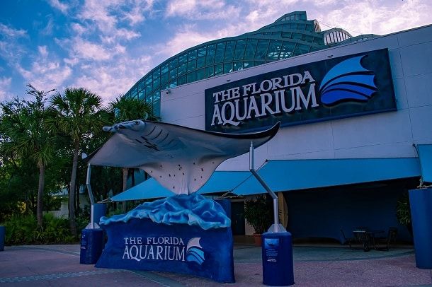 O Aquário de Tampa (The Florida Aquarium) conta com mais de 20 mil espécies de animais e plantas marinhas.