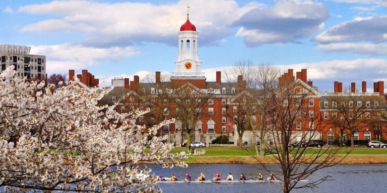 Saiba como estudar em Harvard