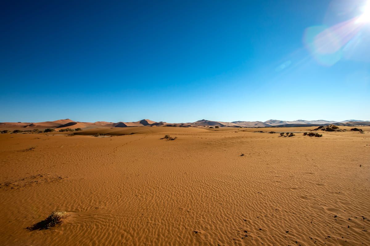 Voc Sabe Quais S O Os Maiores Desertos Do Mundo Descubra Aqui