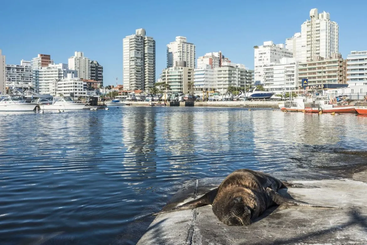 Foto de prédios e mar, mostrando o que fazer em Punta del Este