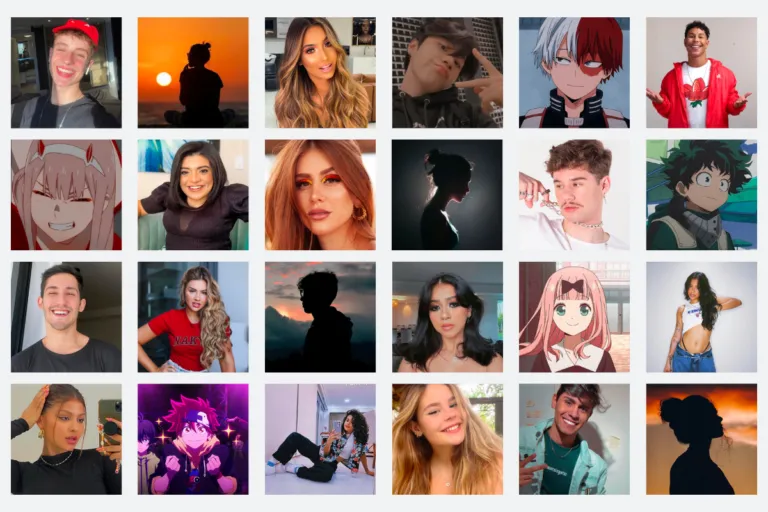 Imagem ilustrativa dos vários tipos de perfis do TikTok