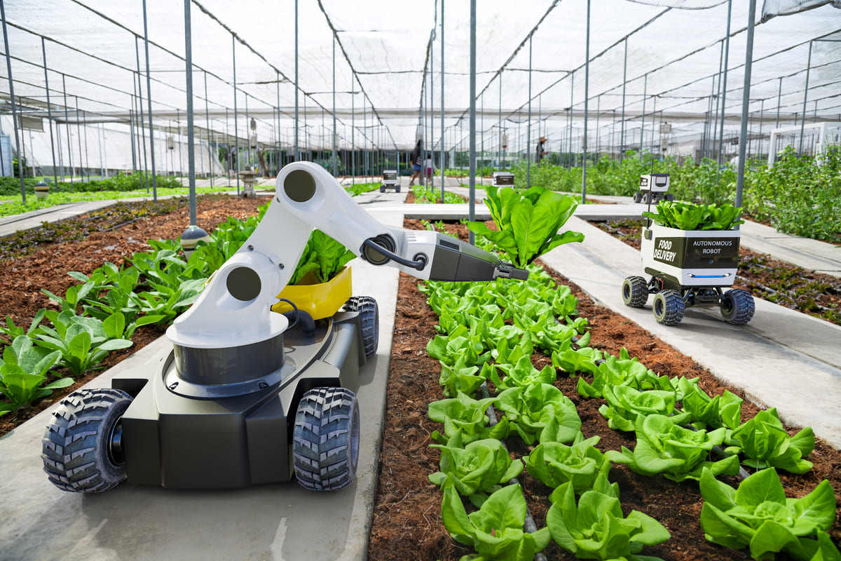 O surgimento da agricultura e do Estado