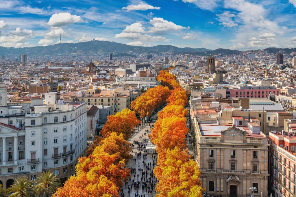 Cidade com árvores laranjas na espanha.