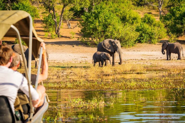 Imagem mostra uma família fazendo um safári na África do Sul