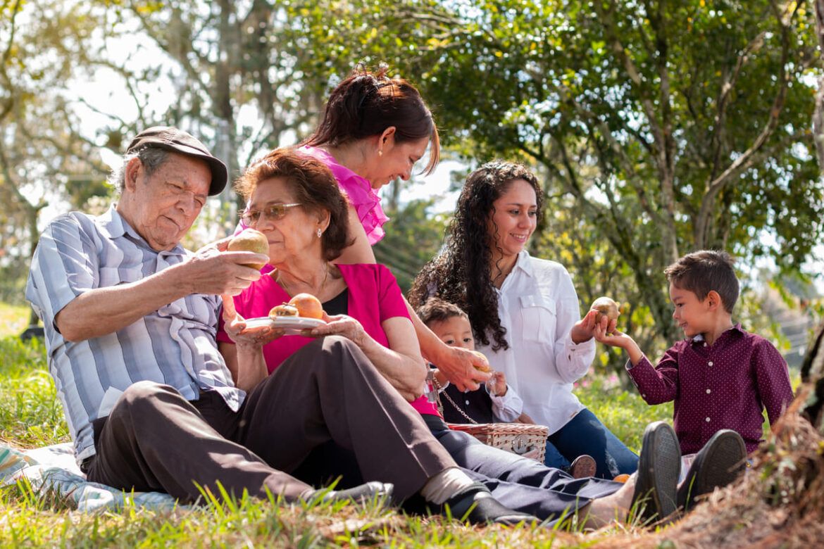 Pessoas comemorando o dia da família em um parque, sentados no chão durante o pique-nique